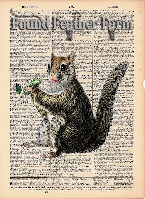 Vintage Antique Dictionary Page with Antique Print "Squirrel"