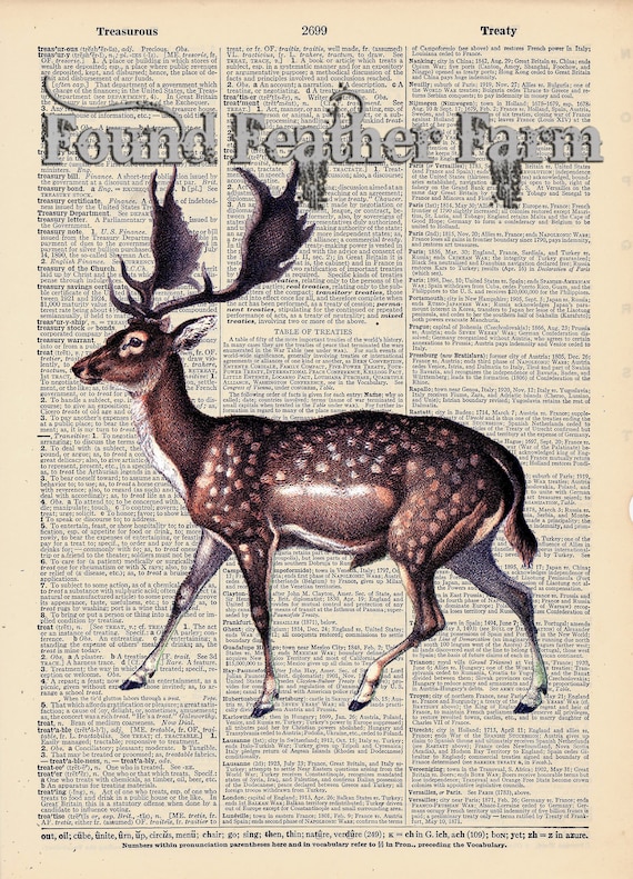 Vintage Antique Dictionary Page with Antique Print "Fallow Deer"