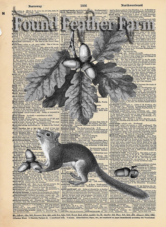 Vintage Antique Dictionary Page with Antique Print "Do You Like Nuts?"