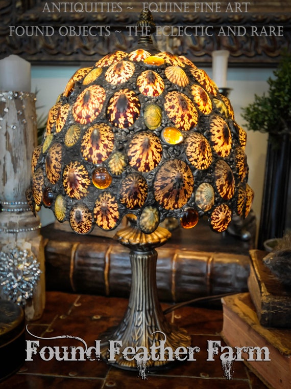 One of a Kind Original Design Handmade Limpet Shell Accent Lamp