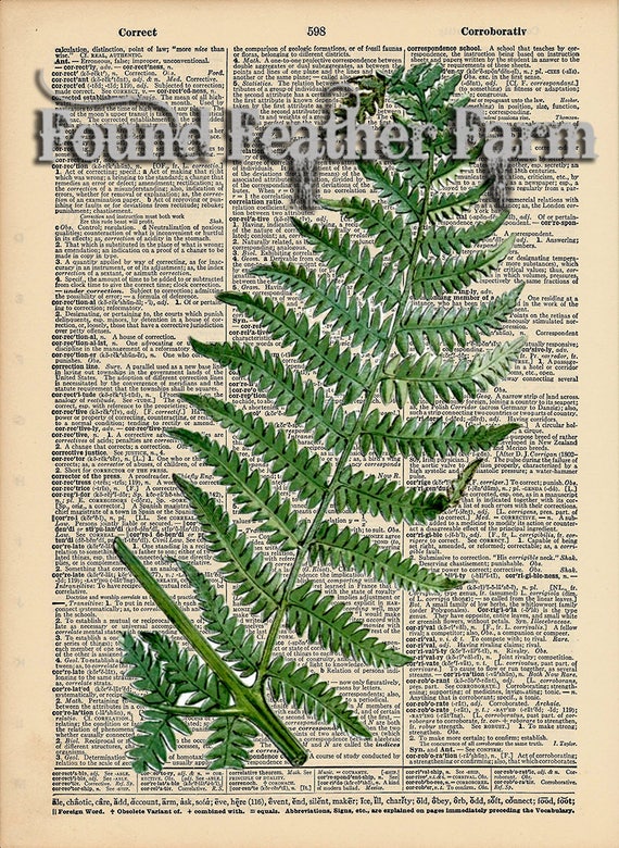 Vintage Antique Dictionary Page with Antique Print "Fern Leaf"