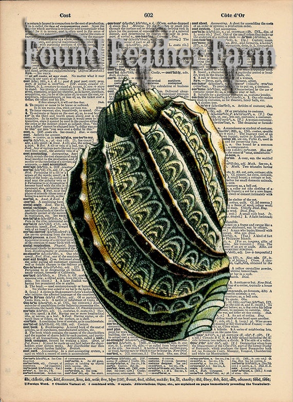 Vintage Antique Dictionary Page with Antique Print "Shell One"