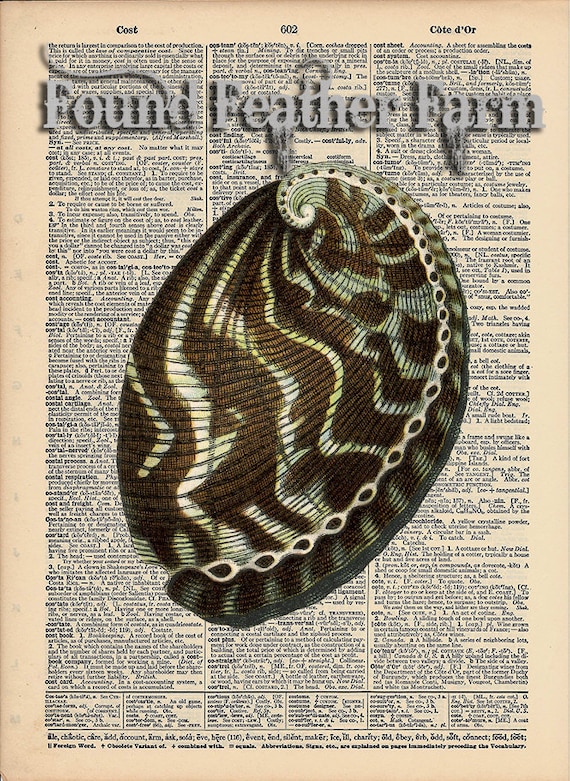 Vintage Antique Dictionary Page with Antique Print "Shell Two"