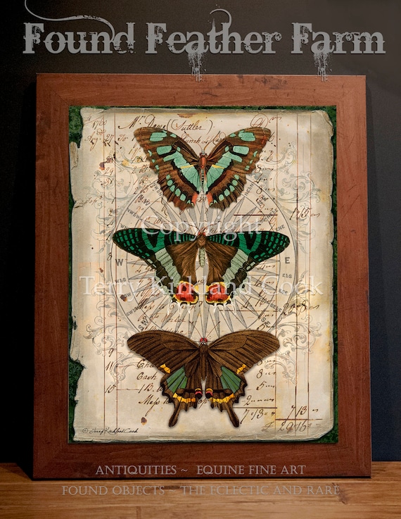 Butterfly Trio ~ Original Vintage Art Collage 20" x 24"Framed Giclee Print