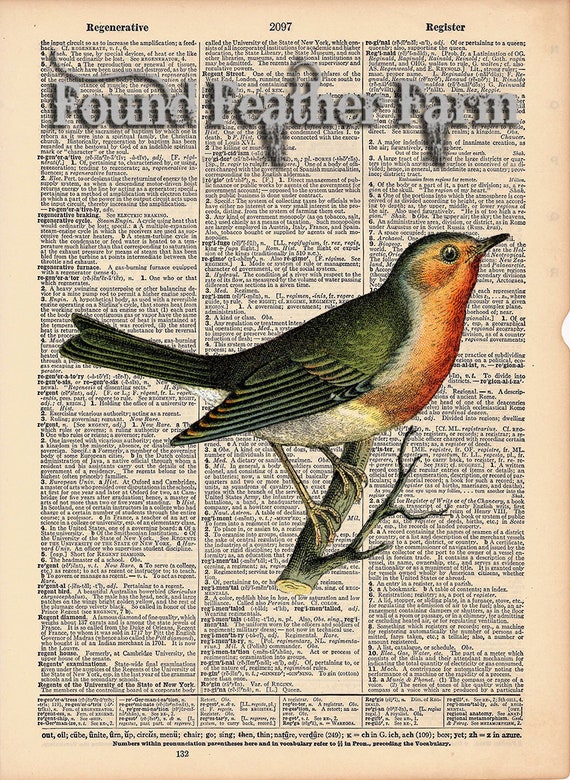 Vintage Antique Dictionary Page with Antique Print "Red Robin"