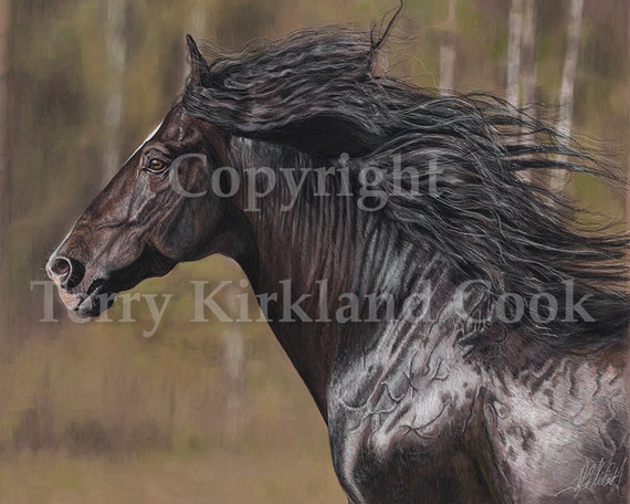 The Black Horse ~ Fine Art Giclee Print of an Original Copyrighted Painting by Terry Kirkland Cook