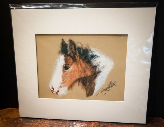 Fine Art Giclee Print by Terry Kirkland Cook "Gypsy Foal Gracie"