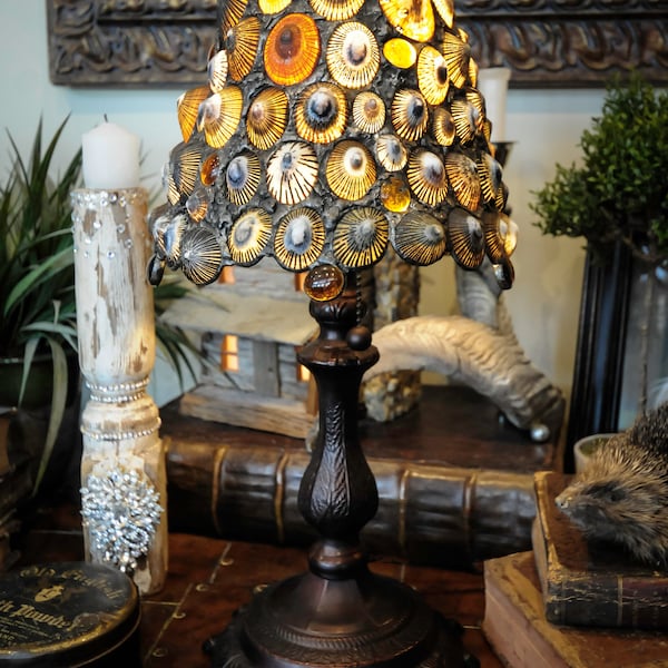 Shell Lamp - Etsy