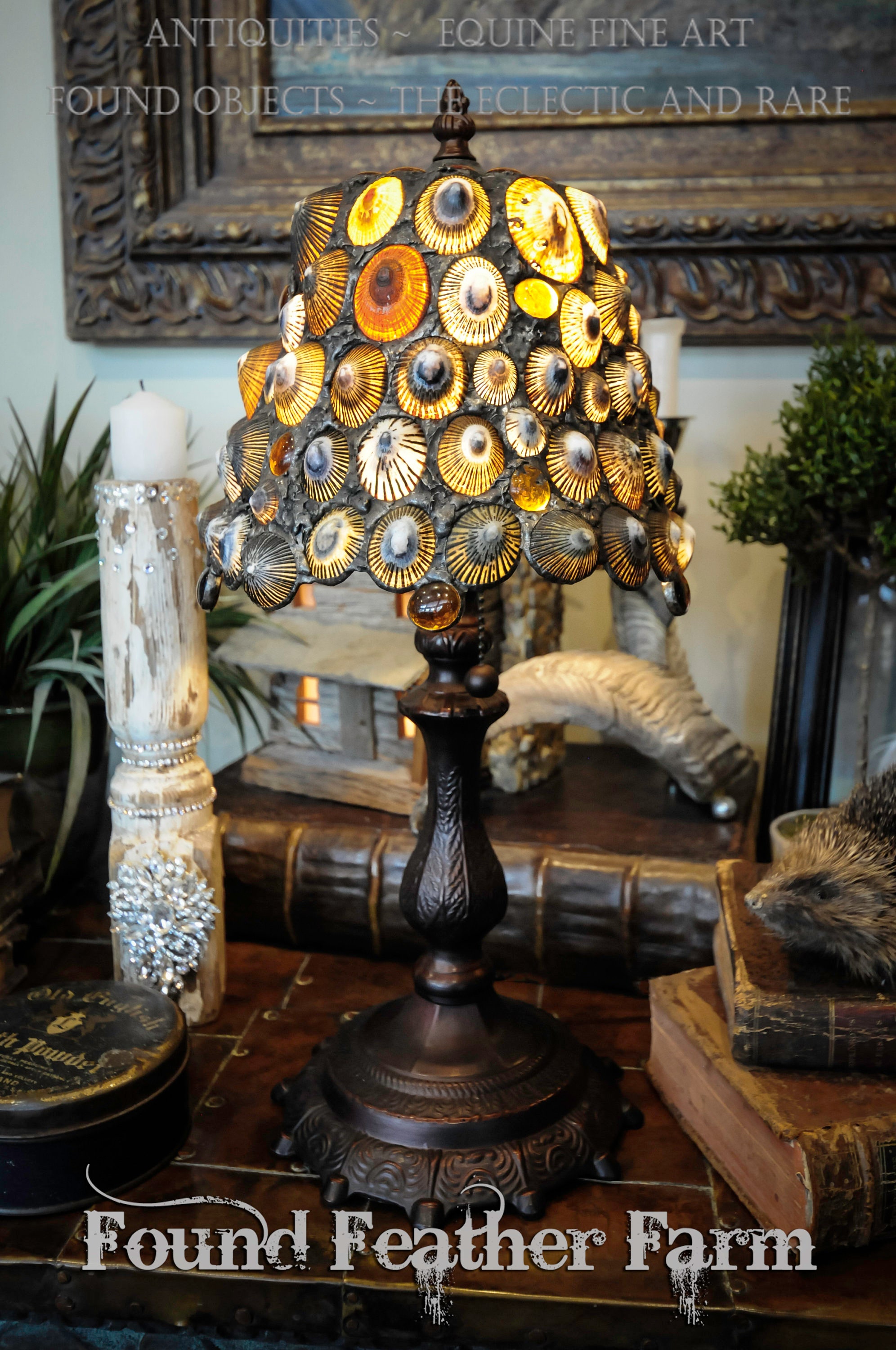 opener Amuseren Oceanië One of a Kind Original Design Handmade Limpet Shell Accent Lamp with Opihi  Limpet Shells from Hawaii