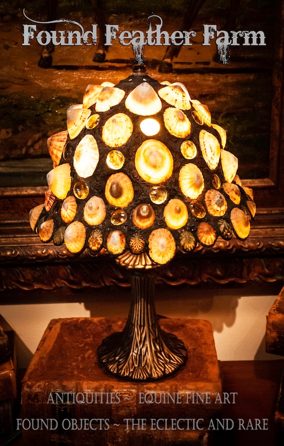 Fabulous One of a Kind Handmade Limpet Shell Accent Lamp with an Original Design