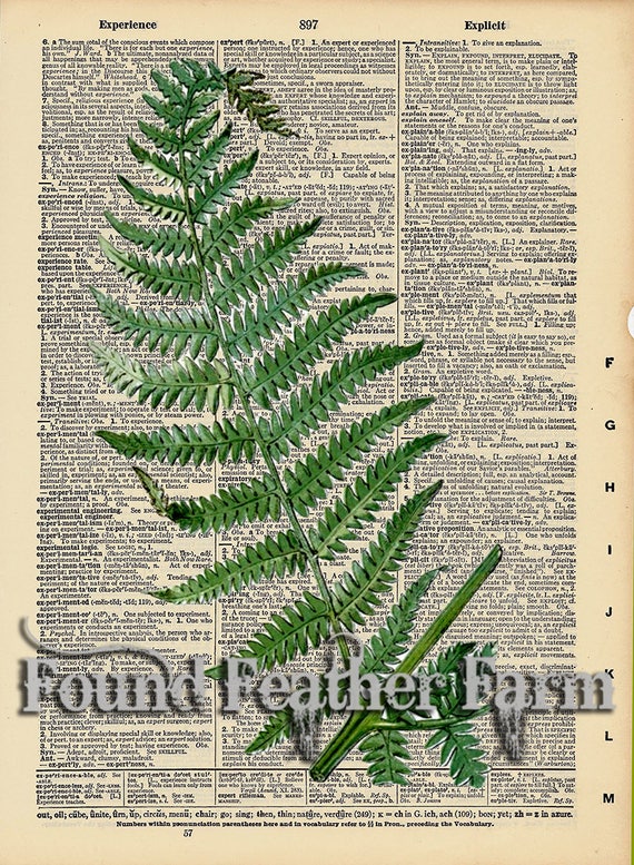 Vintage Antique Dictionary Page with Antique Print "Fern Leaf Left"