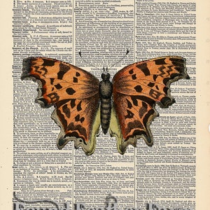 Vintage Antique Dictionary Page with Antique Print Orange Butterfly image 1