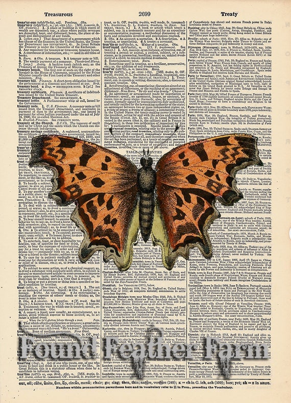Vintage Antique Dictionary Page with Antique Print "Orange Butterfly"