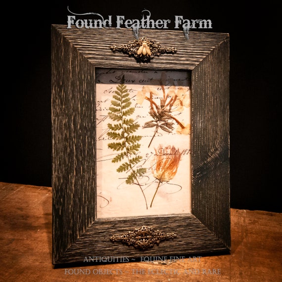 A Gorgeous Genuine Pressed Fern and Wild Flowers Framed Under Glass in a Dark Stained Barn Wood Frame