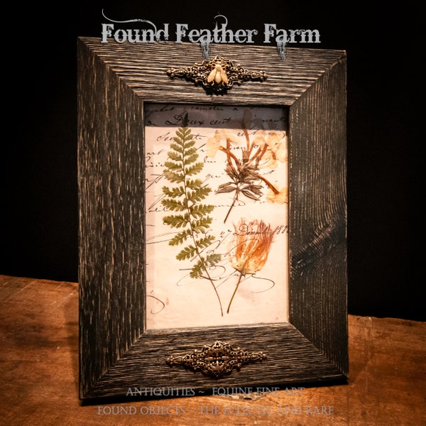 Flower Under Glass Etsy