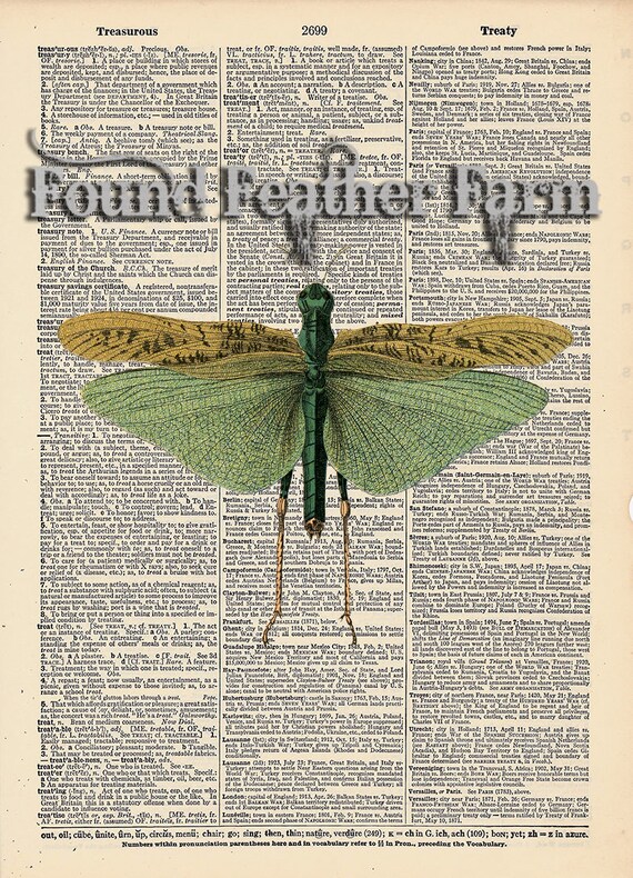 Vintage Antique Dictionary Page with Antique Print "Grasshopper"