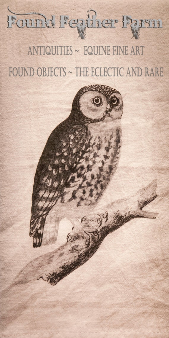 Printed Cotton Flour Sack Tea Towel with Original Vintage "Owl on Branch" Design