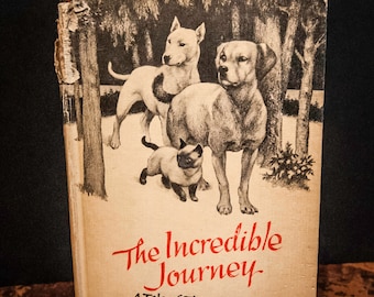 Vintage Children's Book The Incredible Journey from 1960