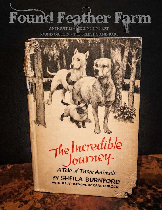 Vintage Children's Book The Incredible Journey from 1960