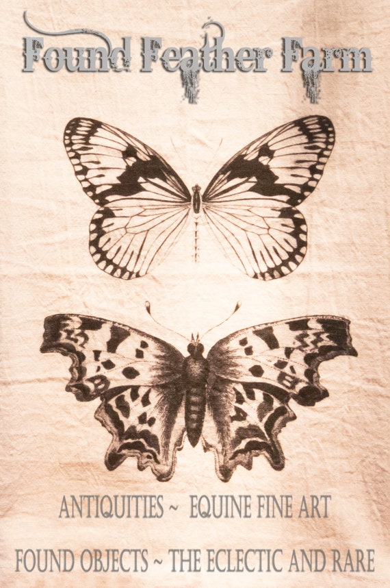 Printed Cotton Flour Sack Tea Towel with Original Vintage "Double Butterfly" Design