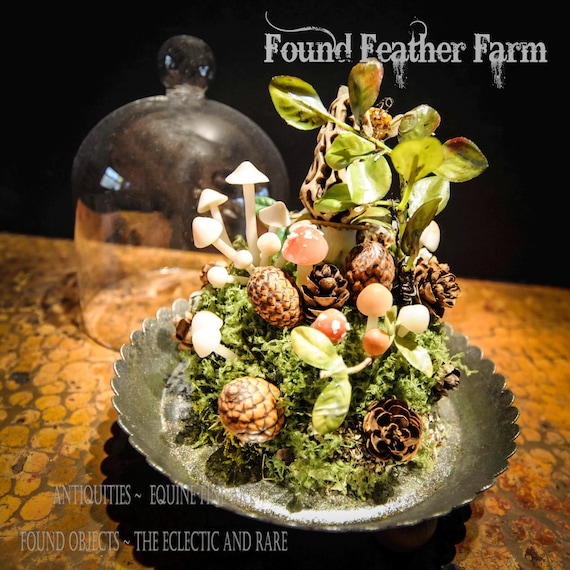 French Cloche with Nuts and Cones and Forest Mushrooms