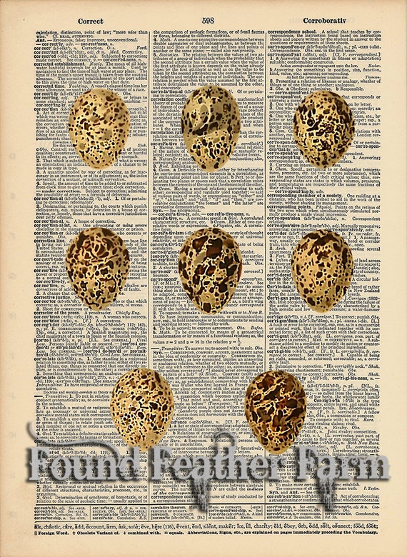 Vintage Antique Dictionary Page with Antique Print "Egg Selection Three"