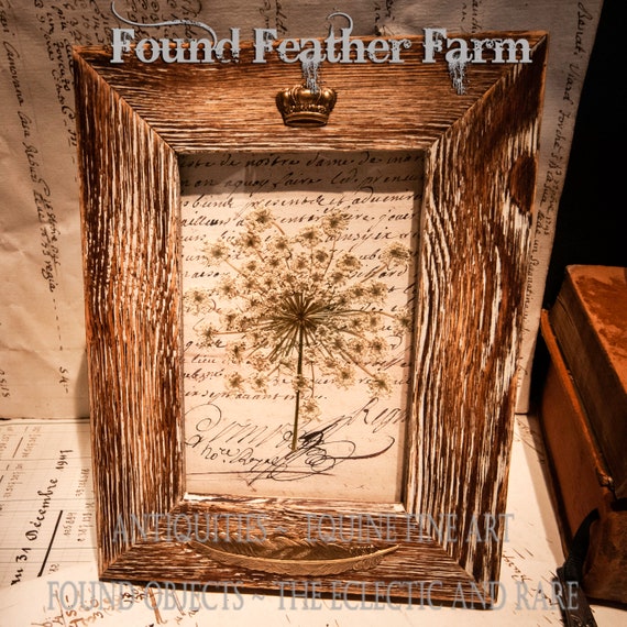 A Gorgeous Genuine Pressed False Queen Anne's Lace Framed Under Glass in a Stained Barn Wood Frame