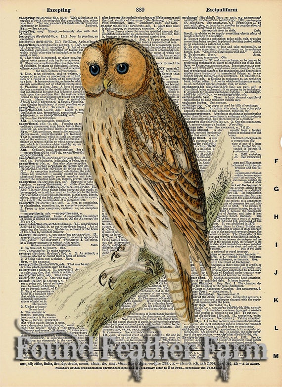 Vintage Antique Dictionary Page with Antique Print "Owl on a Branch Three"