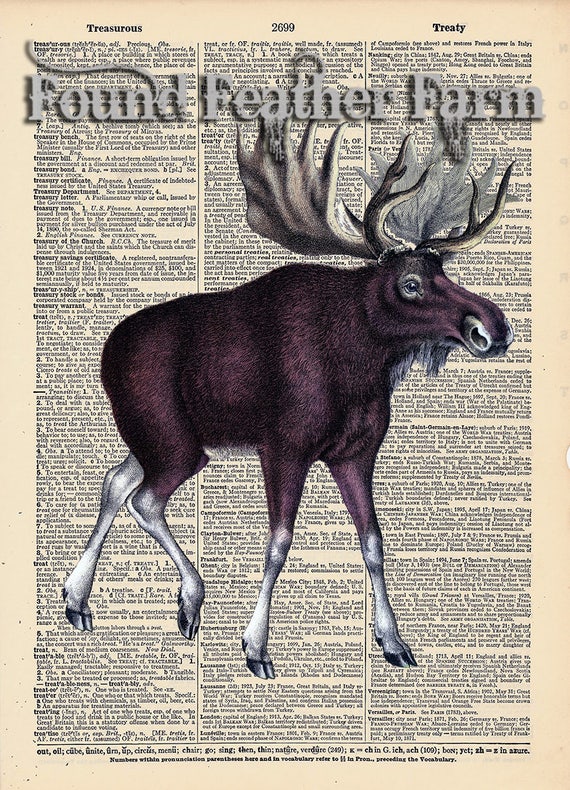 Vintage Antique Dictionary Page with Antique Print "Moose"