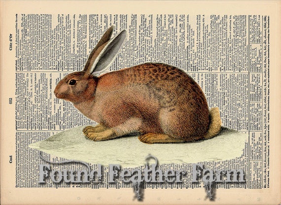 Vintage Antique Dictionary Page with Antique Print "English Rabbit Horizontal"