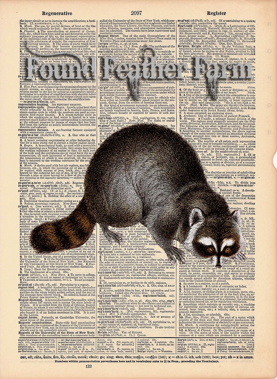 Vintage Antique Dictionary Page with Antique Print "Raccoon Print"