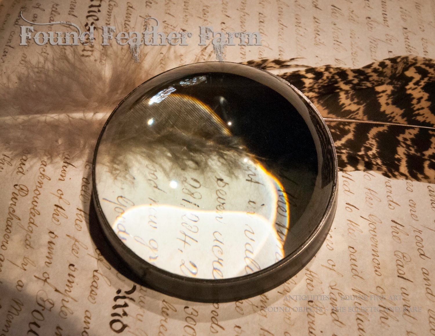 Vintage Medium Antique Brass Round Dome Reading Magnifier