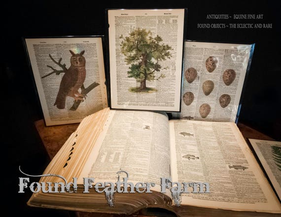 Vintage Antique Dictionary Page With Antique Print Vintage Antique Dictionary Page With Antique Print