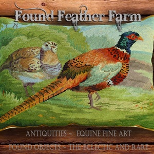 Handmade Needlepoint Pheasant Pillow with Goose Down Insert