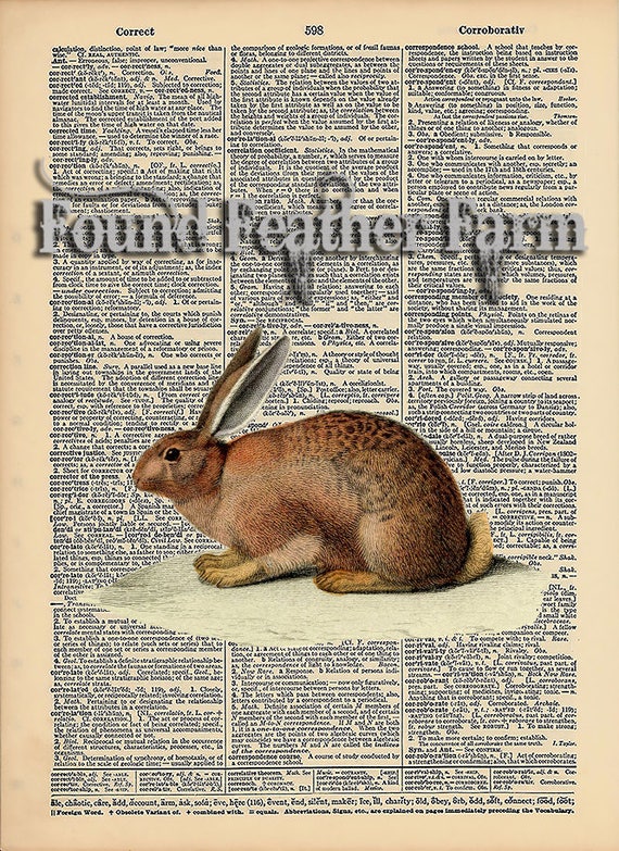 Vintage Antique Dictionary Page with Antique Print "English Rabbit"