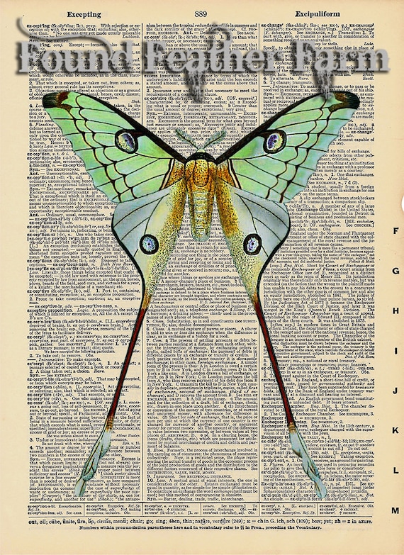 Vintage Antique Dictionary Page with Antique Print "Luna Moth"