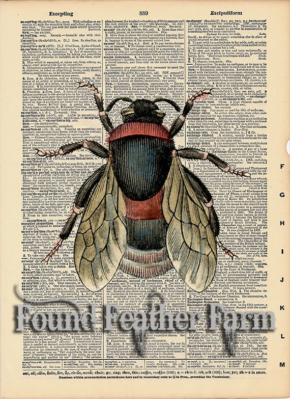 Vintage Antique Dictionary Page with Antique Print "Vintage Bee"