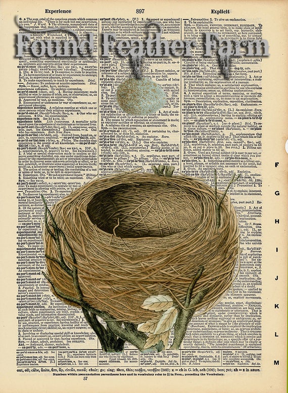 Vintage Antique Dictionary Page with Antique Print " Egg and Nest"