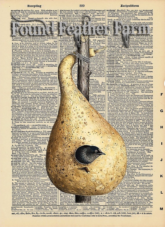 Vintage Antique Dictionary Page with Antique Print "Bird In Gourd"