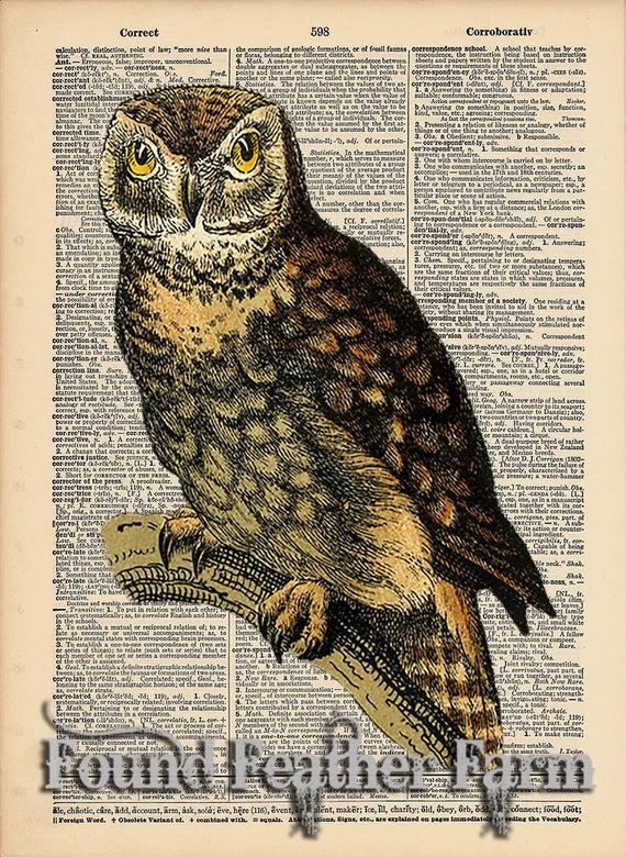 Vintage Antique Dictionary Page with Antique Print "Owl On Branch Four"