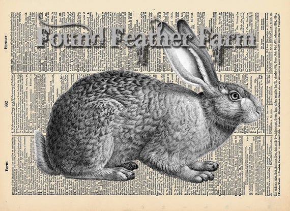 Vintage Antique Dictionary Page with Antique Print "Antique Rabbit Etching Horizontal"