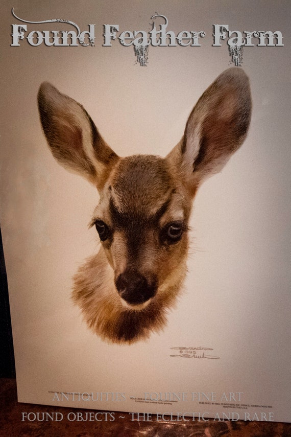 Vintage Carl Brenders 1995 Mule Deer Fawn Print