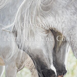 Fine Art Giclee Print &quot;The Courtship&quot; by Terry Kirkland Cook on Fine Art Paper or Canvas