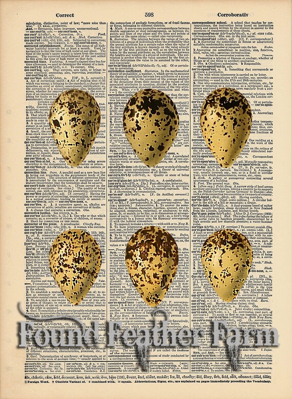 Vintage Antique Dictionary Page with Antique Print "Egg Selection Two"