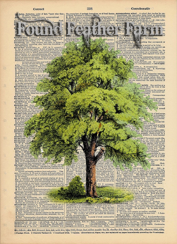 Vintage Antique Dictionary Page with Antique Print "The Giant Oak"