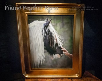 A Signed Canvas Giclee Equine Photograph "The Masculine Touch" with a Magnificent Gold Leaf Frame
