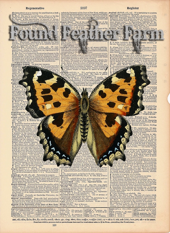 Vintage Antique Dictionary Page with Antique Print "Yellow Orange Butterfly"