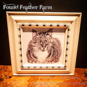 Framed Sleeping Cat Print