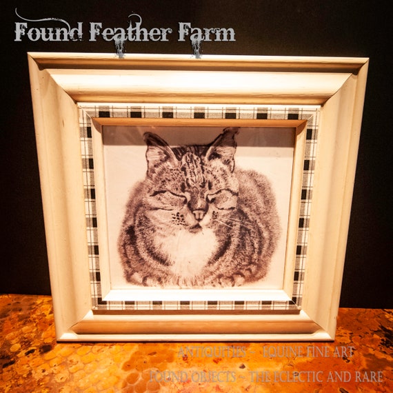 Framed Sleeping Cat Print