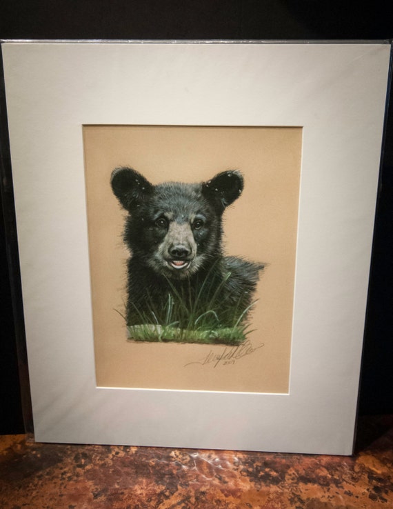 Fine Art Giclee Print by Terry Kirkland Cook "Black Bear Cub"